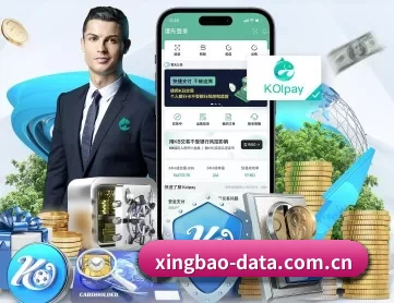 星宝体育 APP 深度功能
