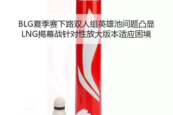 BLG夏季赛下路双人组英雄池问题凸显 LNG揭幕战针对性放大版本适应困境